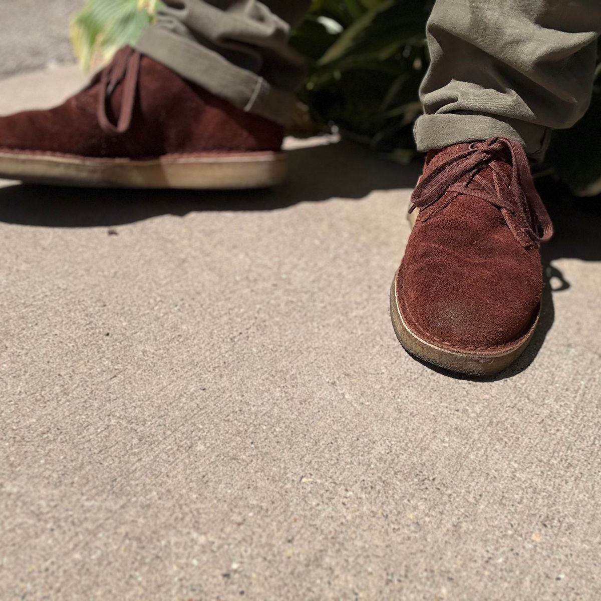 Photo by rigglethor on August 25, 2025 of the Clarks Desert Boot in C.F. Stead British Tan Suede.