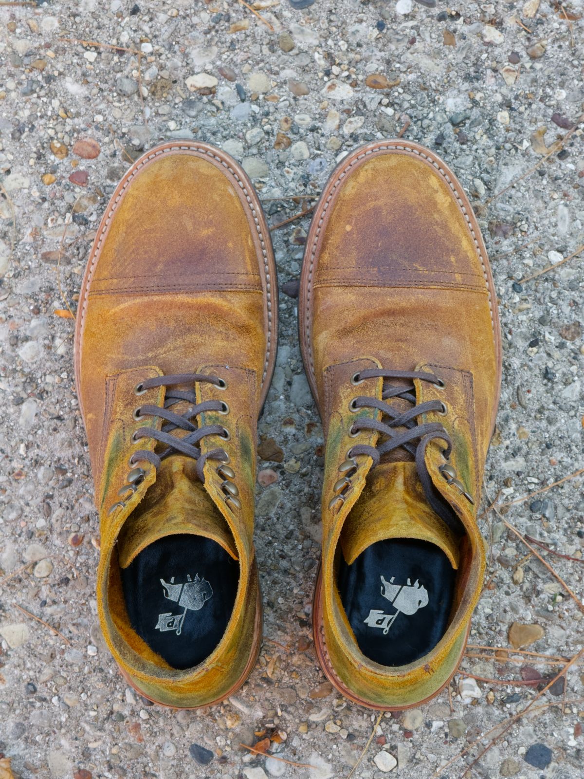 Photo by rigglethor on November 3, 2025 of the Parkhurst The Richmond in Apollo Waxy Commander.