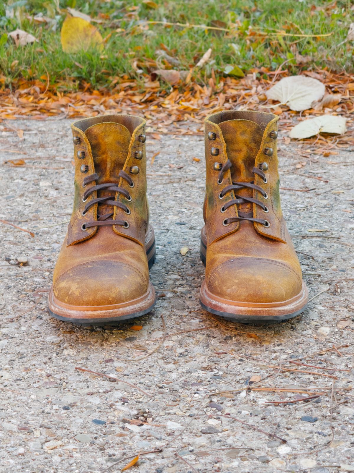 Photo by rigglethor on November 3, 2025 of the Parkhurst The Richmond in Apollo Waxy Commander.