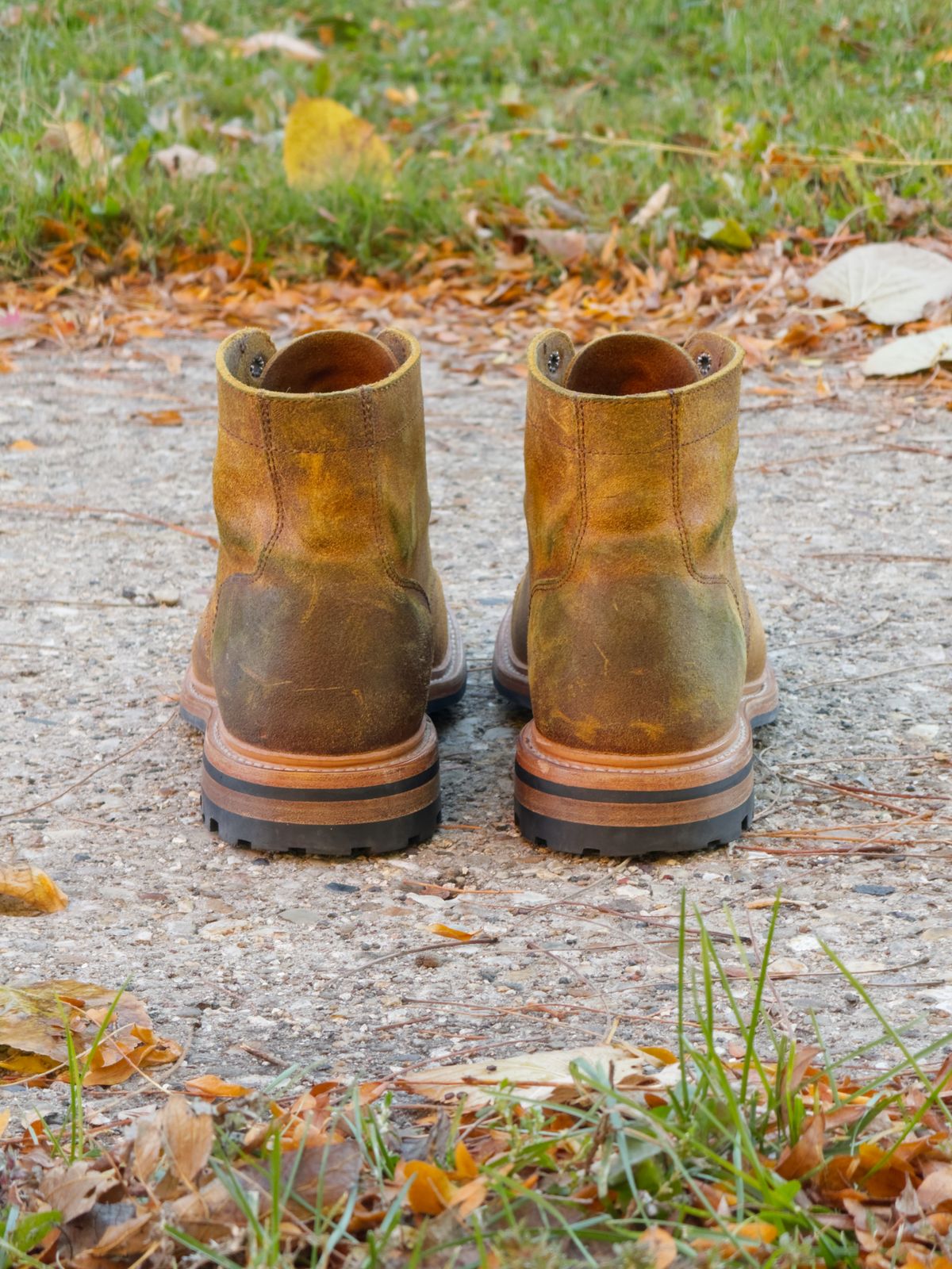 Photo by rigglethor on November 3, 2025 of the Parkhurst The Richmond in Apollo Waxy Commander.