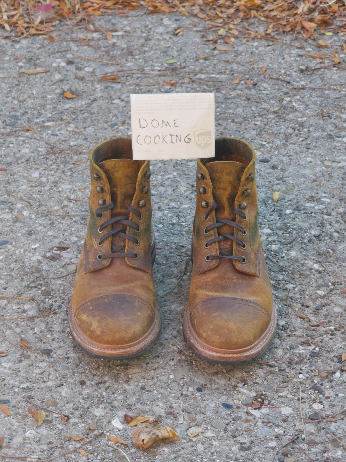 Photo by rigglethor on November 3, 2025 of the Parkhurst The Richmond in Apollo Waxy Commander.