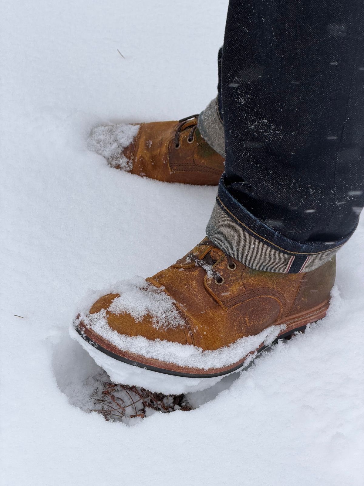 Photo by rigglethor on November 29, 2025 of the Parkhurst The Richmond in Apollo Waxy Commander.