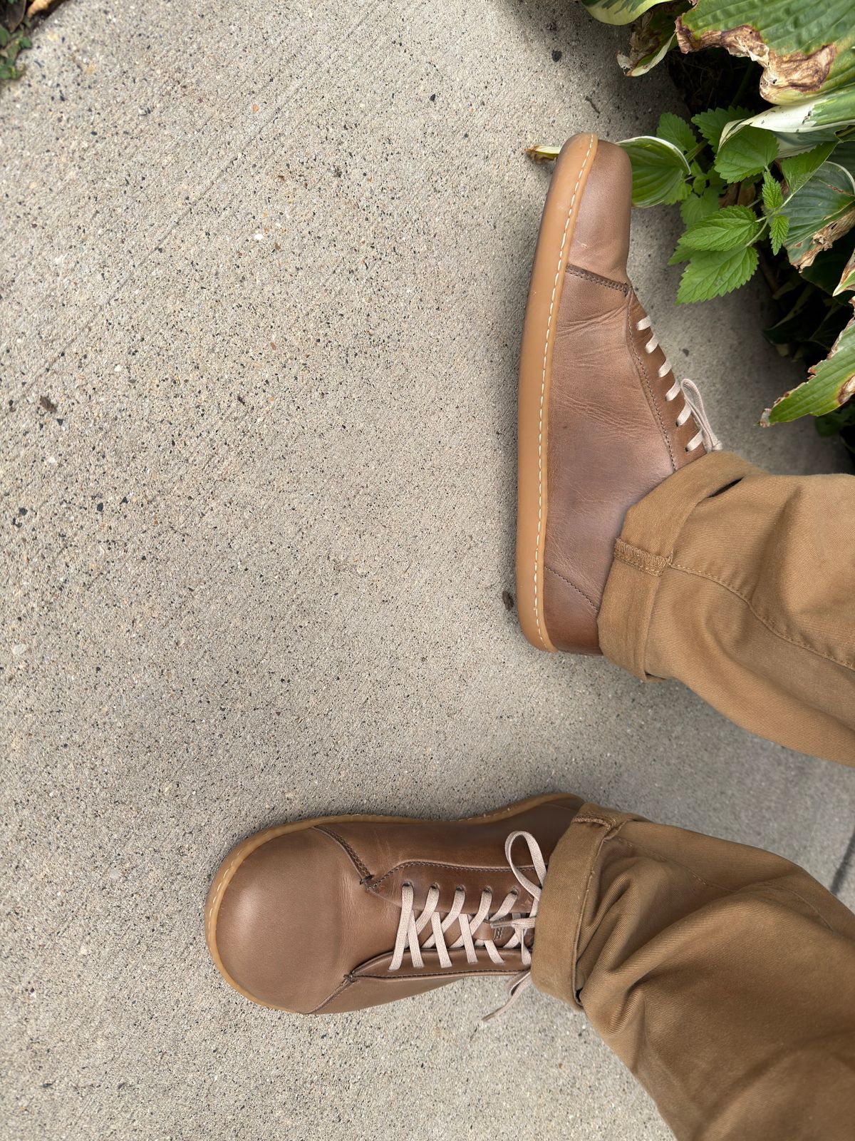 Photo by rigglethor on August 24, 2025 of the Goral Barefoot SMUGS in Horween Natural Chromexcel.