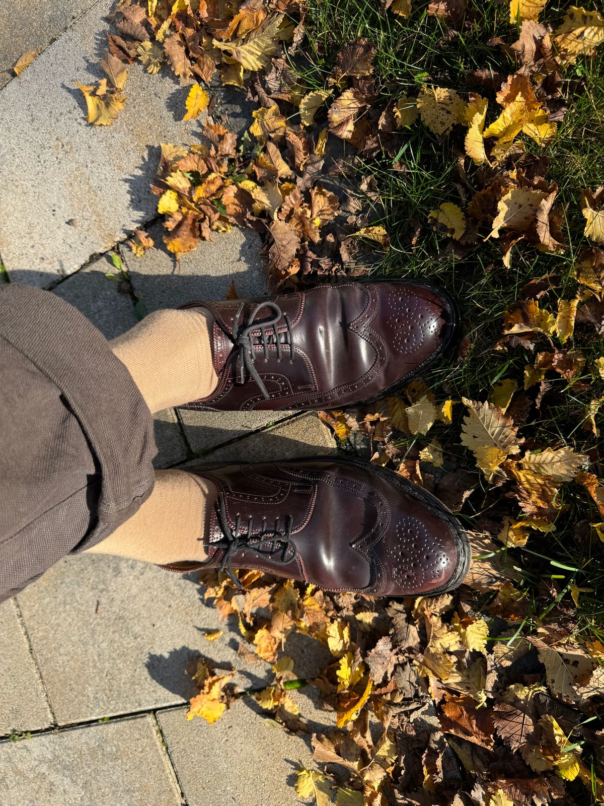Photo by Aerschibaerschi on November 3, 2024 of the Vass 3636 in Shell Cordovan , Dark Burgundy.