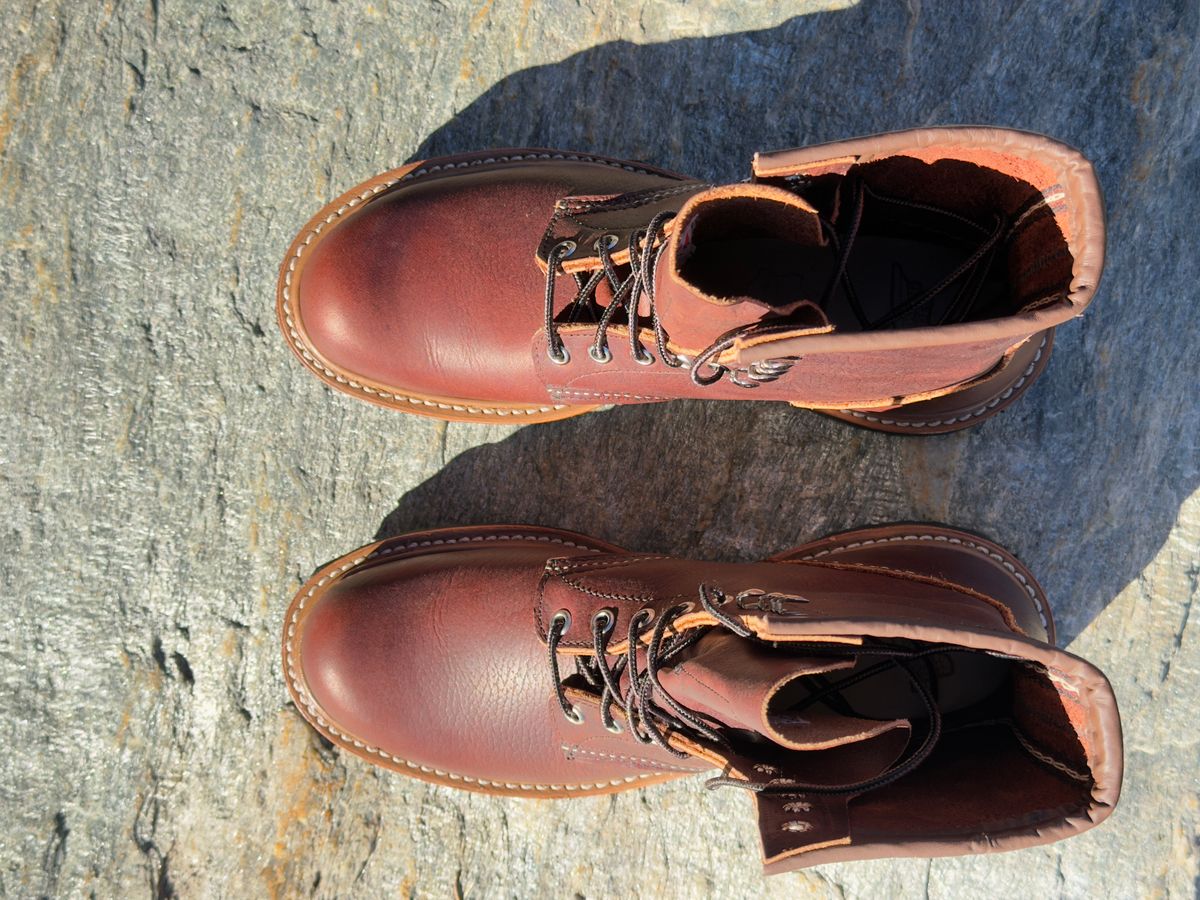 Photo by Aberhood on October 28, 2025 of the Red Wing Logger in S.B. Foot Briar Oil Slick.