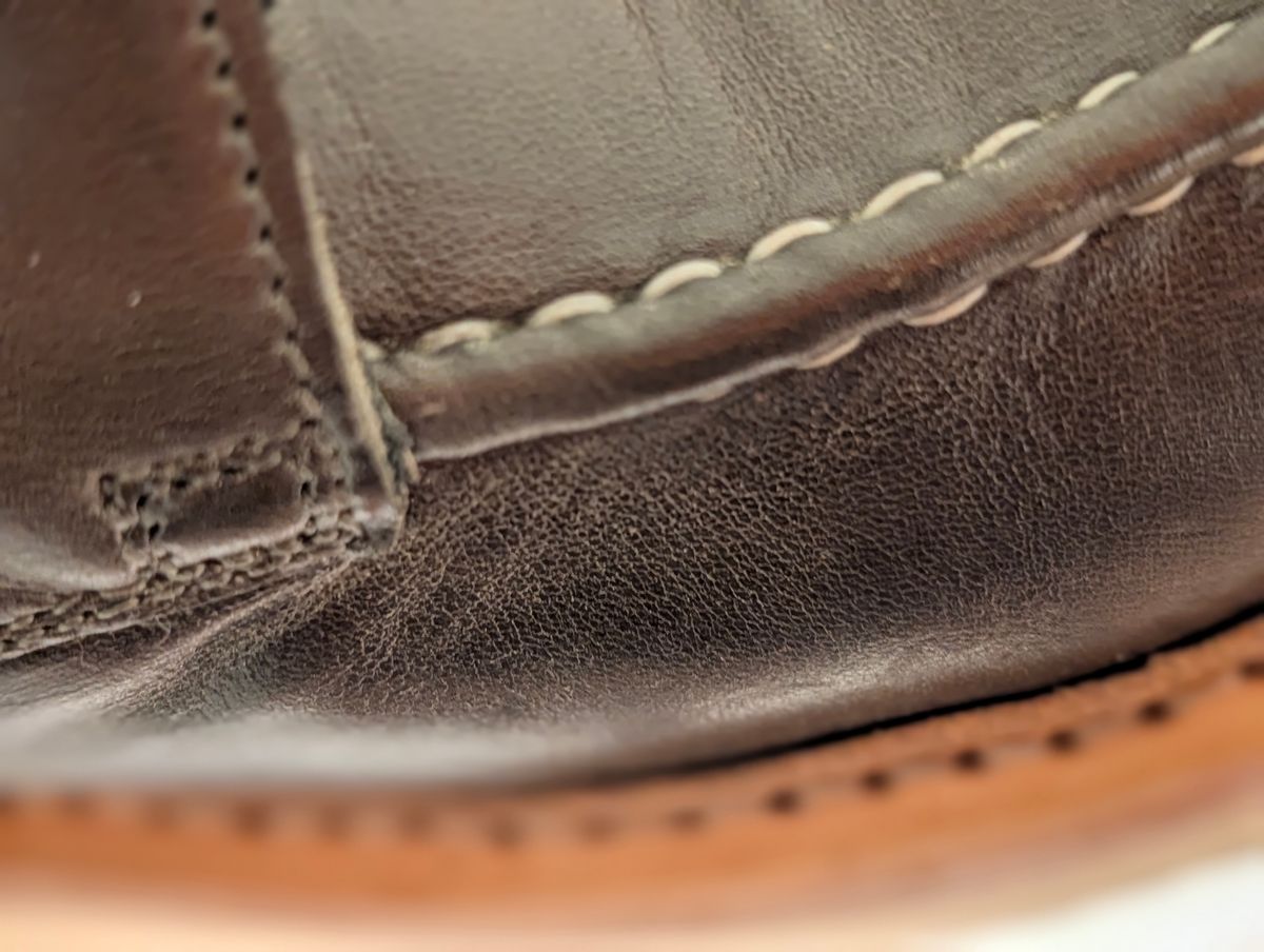 Photo by Ginde0666 on April 19, 2026 of the Blkbrd Shoemaker Dallas Moctoe in Maryam Green Hotserump.