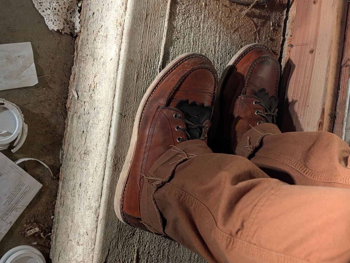 Photo by Ginde0666 on March 13, 2026 of the Red Wing 8-Inch Classic Moc in S.B. Foot Oro Legacy.