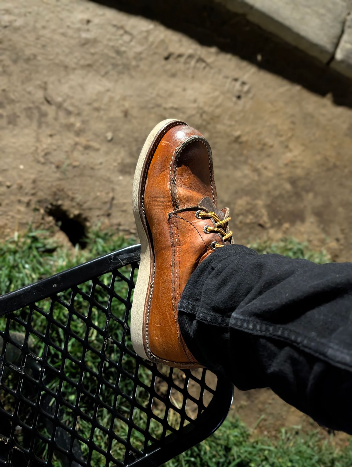 Photo by Ginde0666 on April 30, 2026 of the Red Wing 8-Inch Classic Moc in S.B. Foot Oro Legacy.
