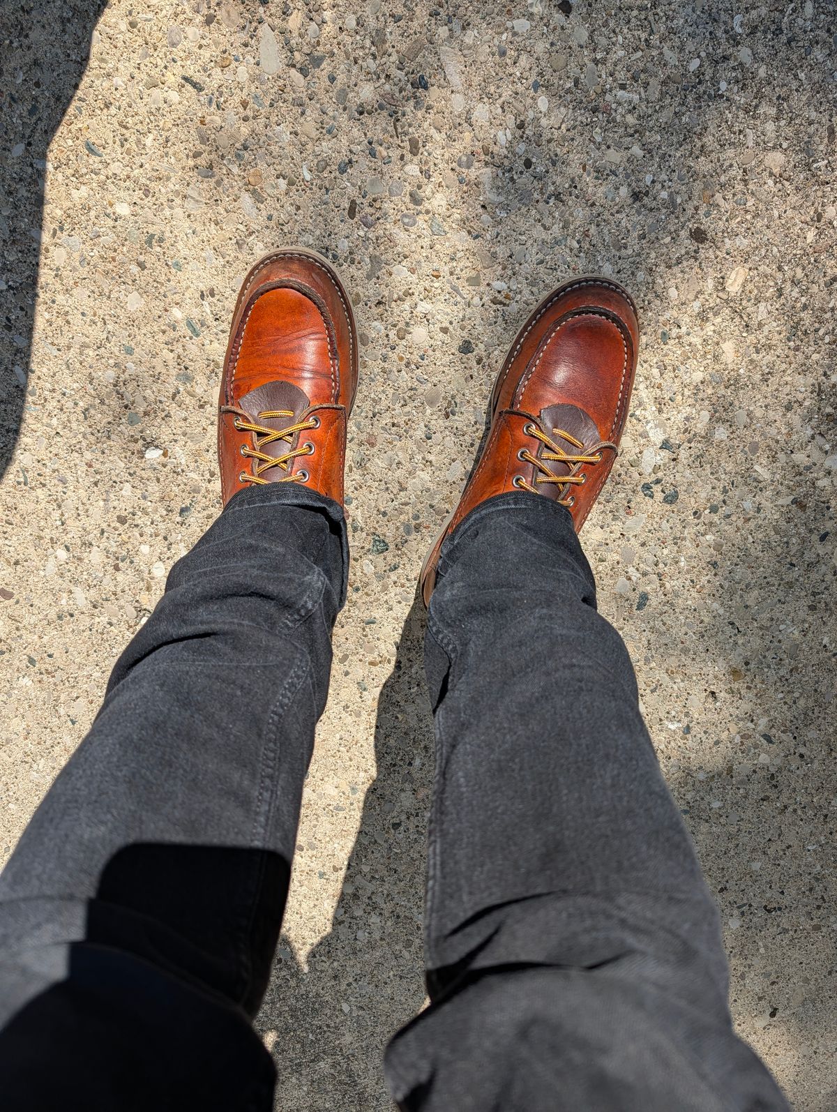 Photo by Ginde0666 on May 9, 2026 of the Red Wing 8-Inch Classic Moc in S.B. Foot Oro Legacy.