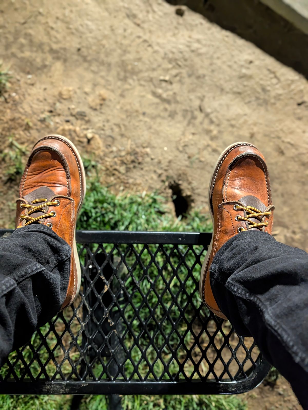 Photo by Ginde0666 on April 30, 2026 of the Red Wing 8-Inch Classic Moc in S.B. Foot Oro Legacy.