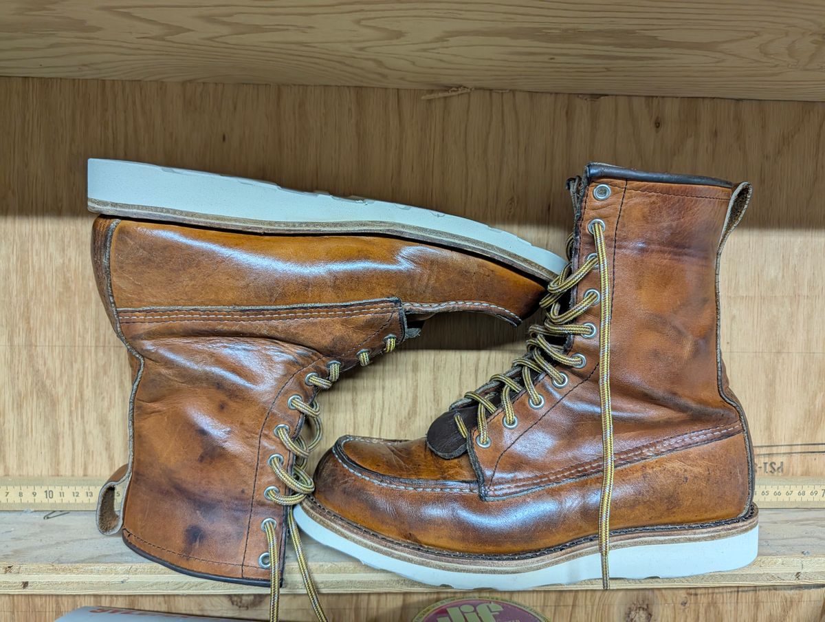 Photo by Ginde0666 on May 22, 2026 of the Red Wing 8-Inch Classic Moc in S.B. Foot Oro Legacy.