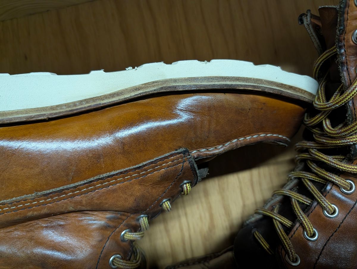 Photo by Ginde0666 on May 22, 2026 of the Red Wing 8-Inch Classic Moc in S.B. Foot Oro Legacy.