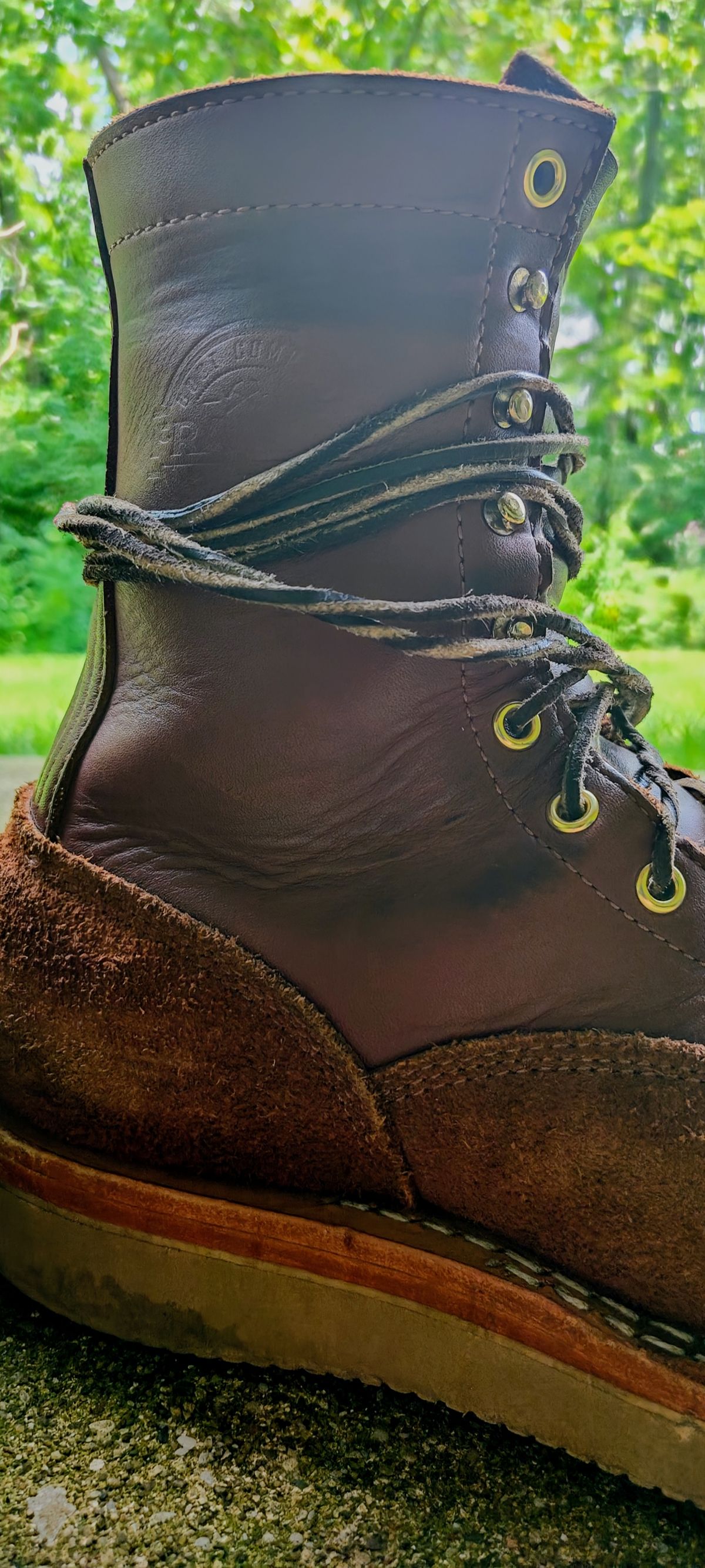 Photo by Ginde0666 on August 15, 2025 of the Frank's Boots Rainier in Seidel Chocolate Oil Tan & Seidel Chocolate Oil Tan Roughout.