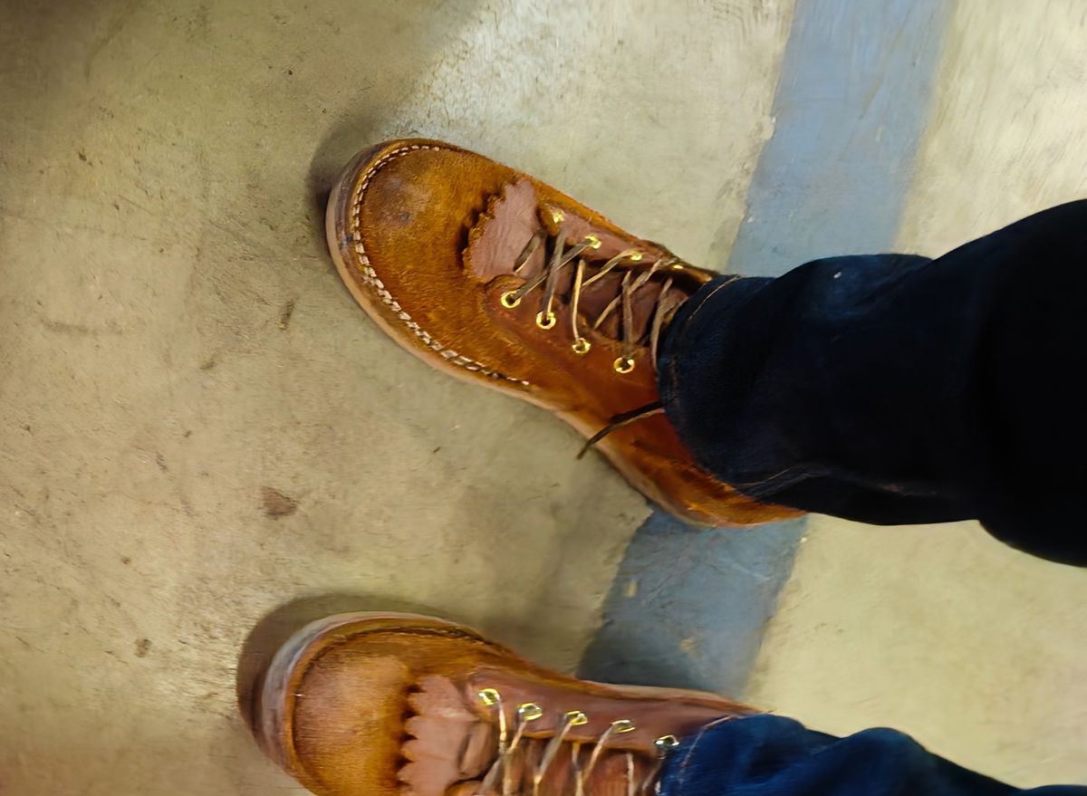 Photo by Ginde0666 on October 24, 2025 of the Frank's Boots Rainier in Seidel Chocolate Oil Tan & Seidel Chocolate Oil Tan Roughout.