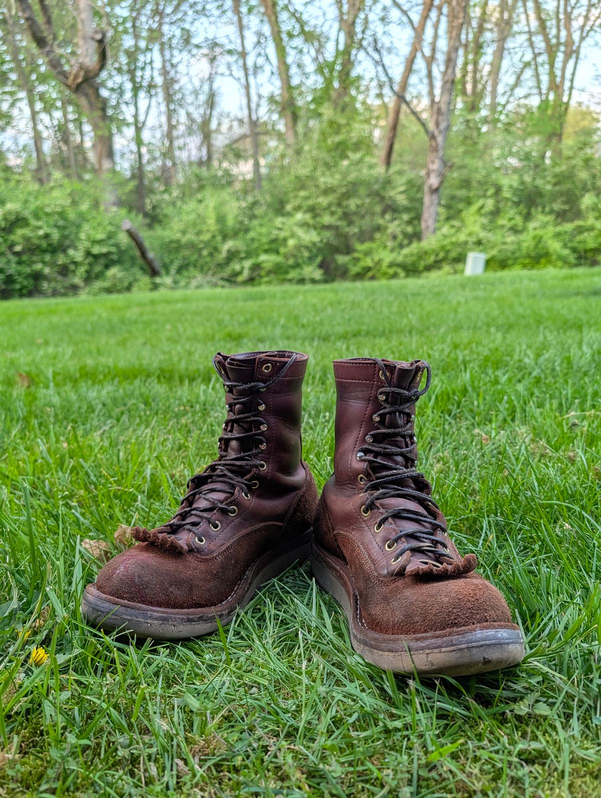 Photo by Ginde0666 on April 14, 2026 of the Frank's Boots Rainier in Seidel Chocolate Oil Tan & Seidel Chocolate Oil Tan Roughout.
