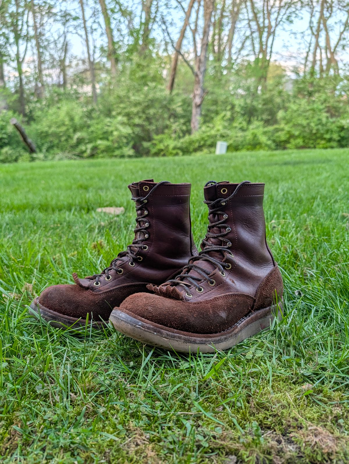 Photo by Ginde0666 on April 14, 2026 of the Frank's Boots Rainier in Seidel Chocolate Oil Tan & Seidel Chocolate Oil Tan Roughout.