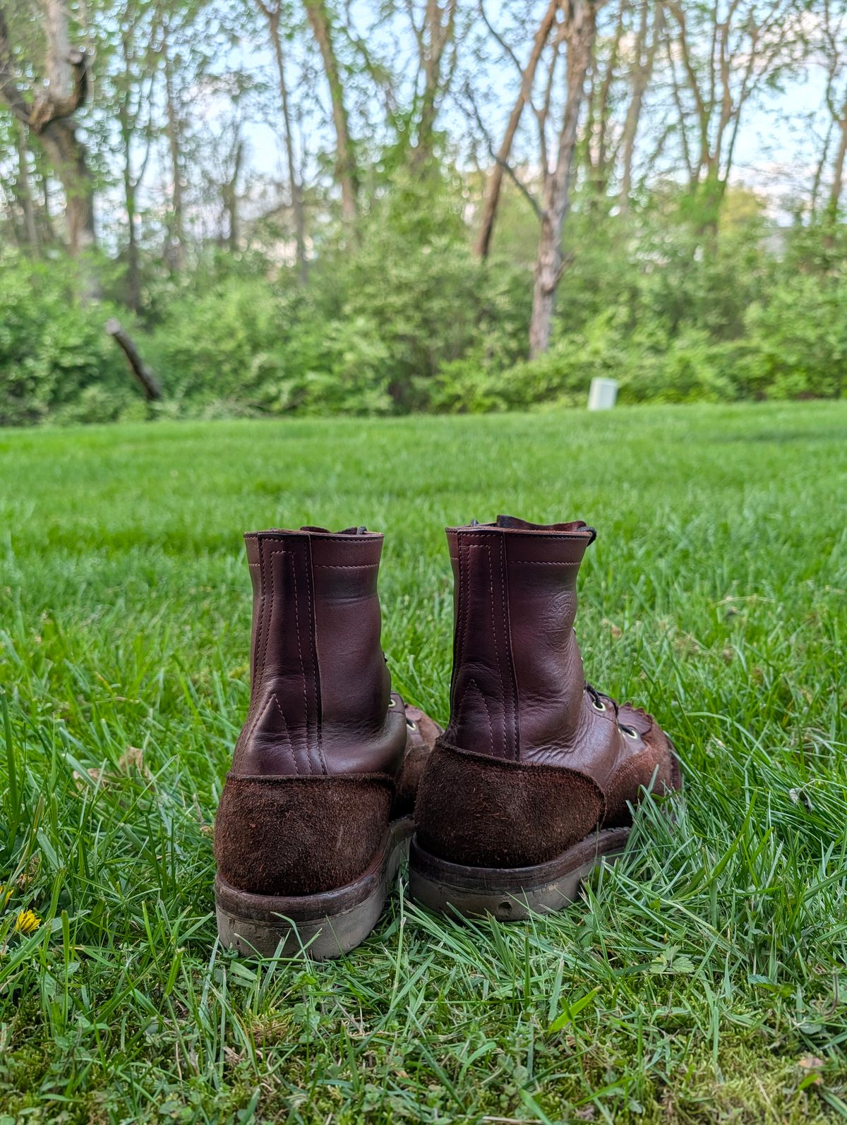 Photo by Ginde0666 on April 14, 2026 of the Frank's Boots Rainier in Seidel Chocolate Oil Tan & Seidel Chocolate Oil Tan Roughout.