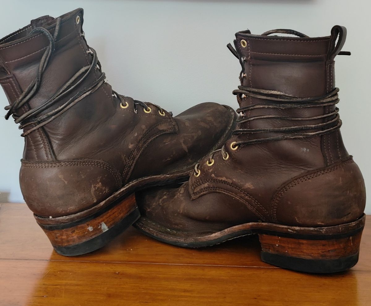 Photo by Ginde0666 on September 2, 2025 of the Frank's Boots Front Range in Seidel Walnut Oil Tan.