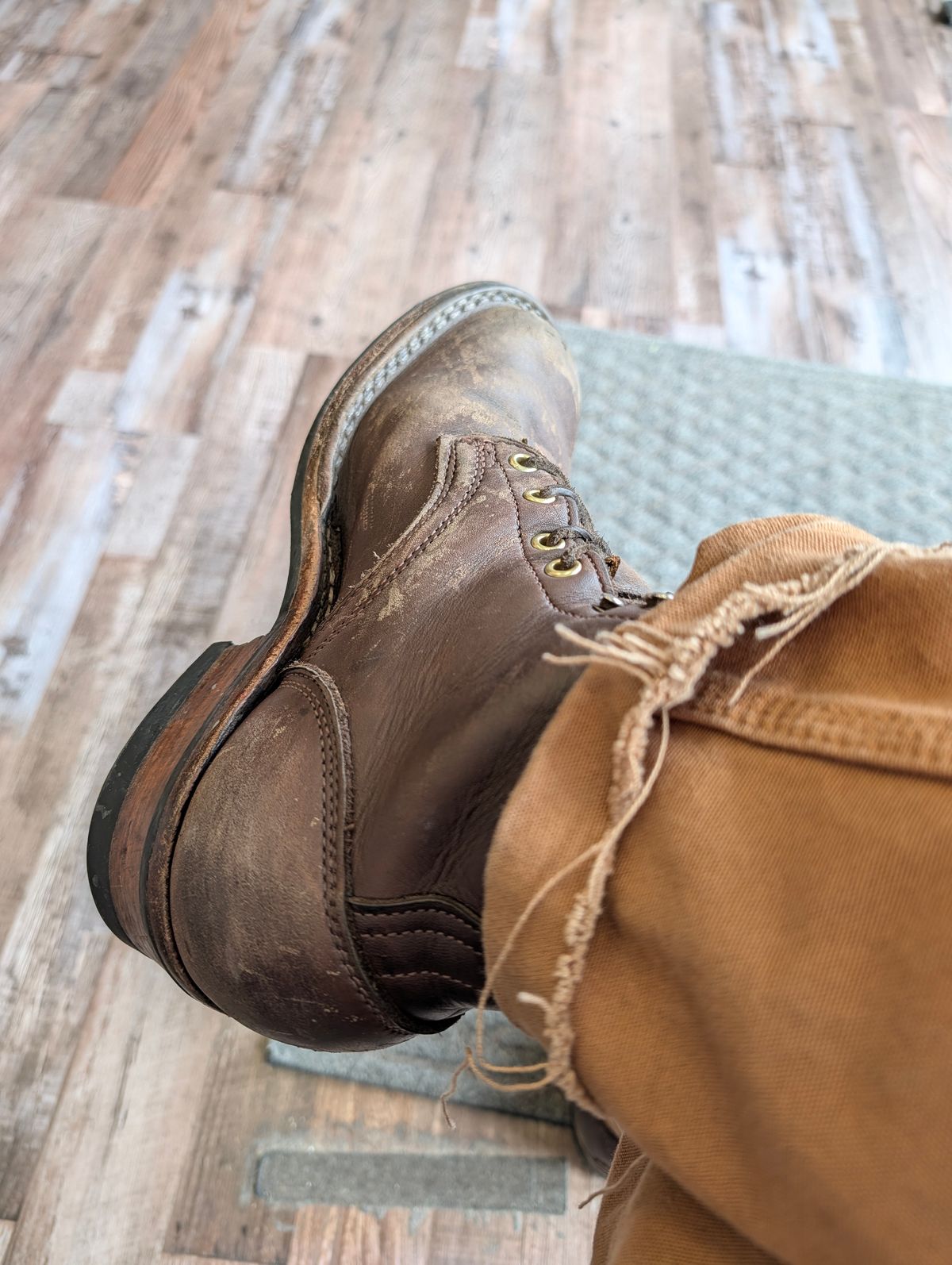 Photo by Ginde0666 on March 31, 2026 of the Frank's Boots Front Range in Seidel Walnut Oil Tan.