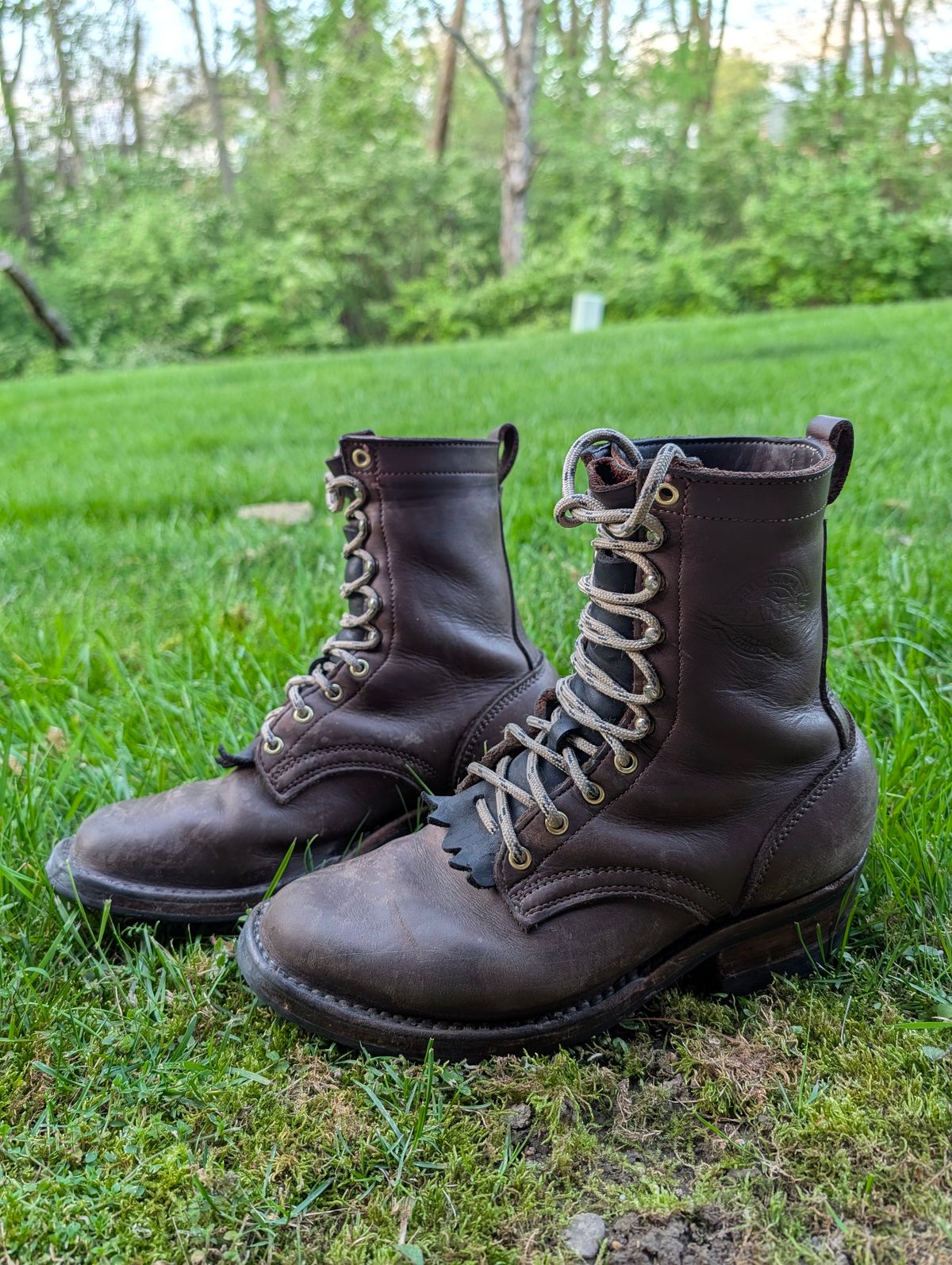 Photo by Ginde0666 on April 14, 2026 of the Frank's Boots Front Range in Seidel Walnut Oil Tan.