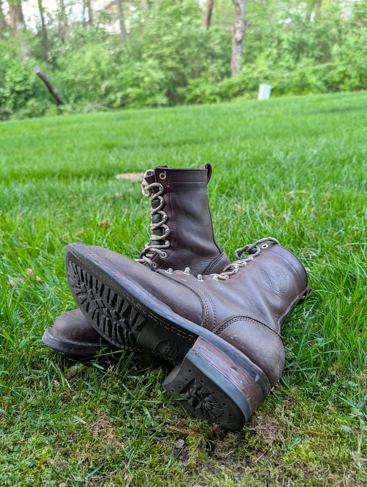 Photo by Ginde0666 on April 14, 2026 of the Frank's Boots Front Range in Seidel Walnut Oil Tan.