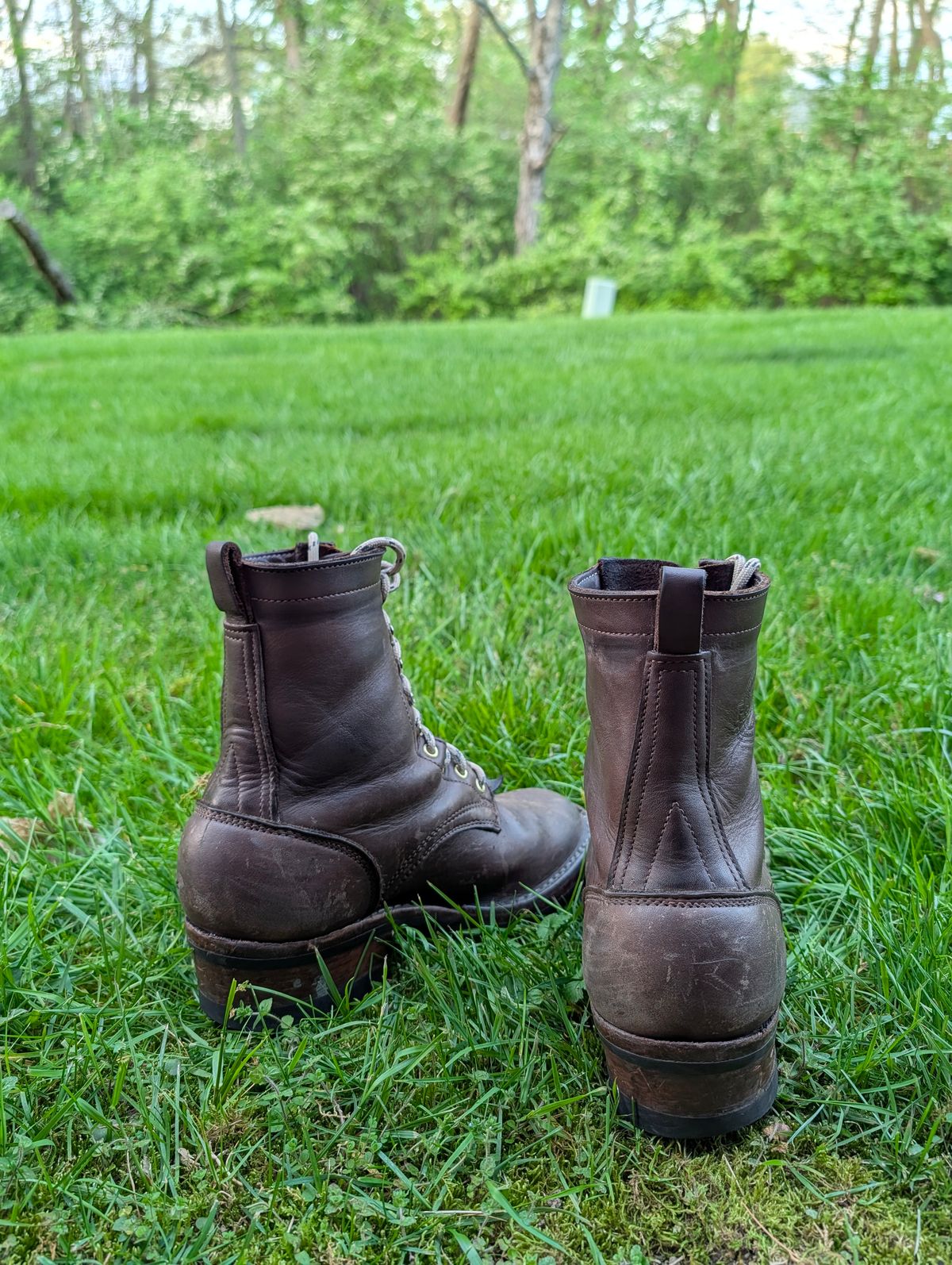 Photo by Ginde0666 on April 14, 2026 of the Frank's Boots Front Range in Seidel Walnut Oil Tan.