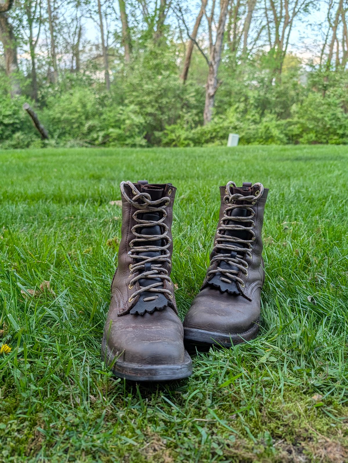Photo by Ginde0666 on April 14, 2026 of the Frank's Boots Front Range in Seidel Walnut Oil Tan.