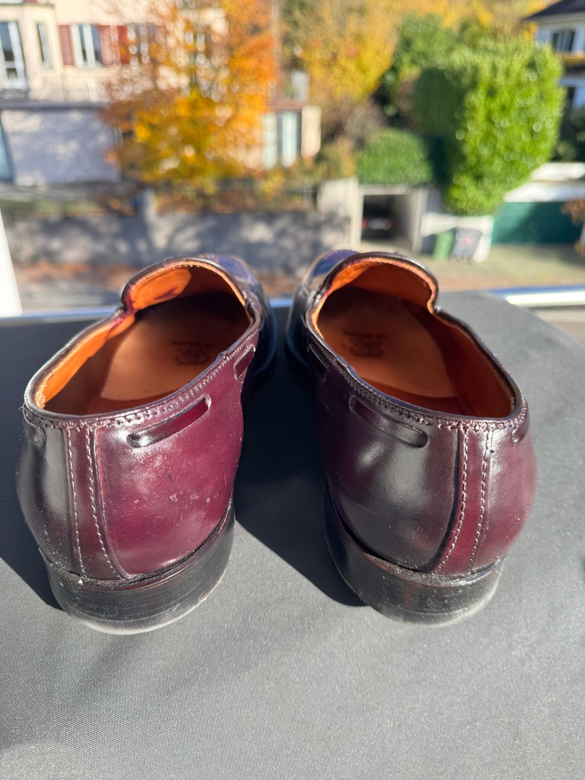 Photo by yankinschweiz on November 4, 2025 of the Alden 563 Tassel Moccasin Loafer in Horween Color 8 Shell Cordovan.