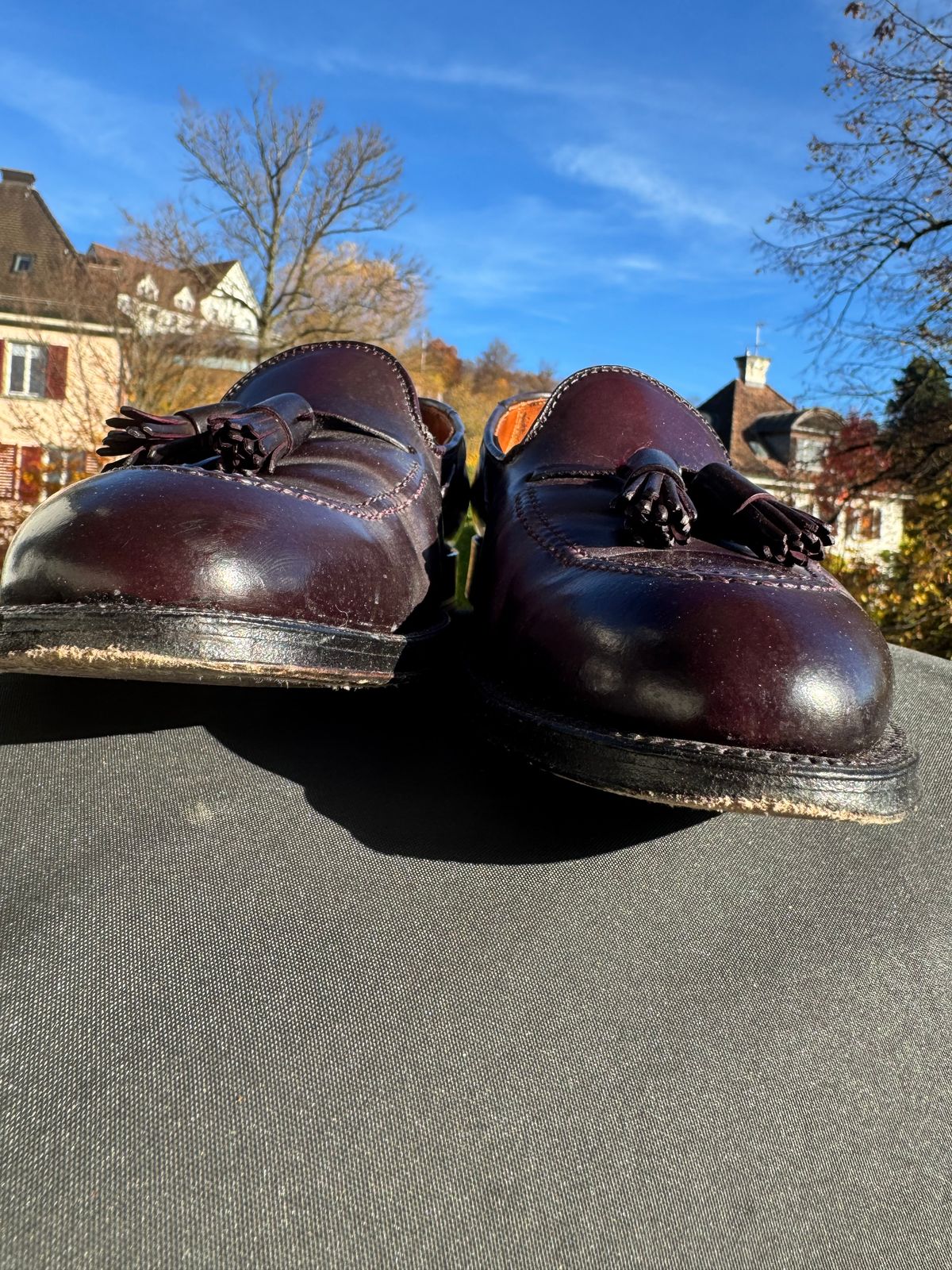 Photo by yankinschweiz on November 4, 2025 of the Alden 563 Tassel Moccasin Loafer in Horween Color 8 Shell Cordovan.