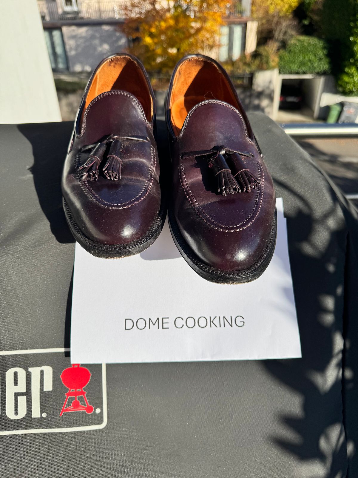 Photo by yankinschweiz on November 4, 2025 of the Alden 563 Tassel Moccasin Loafer in Horween Color 8 Shell Cordovan.