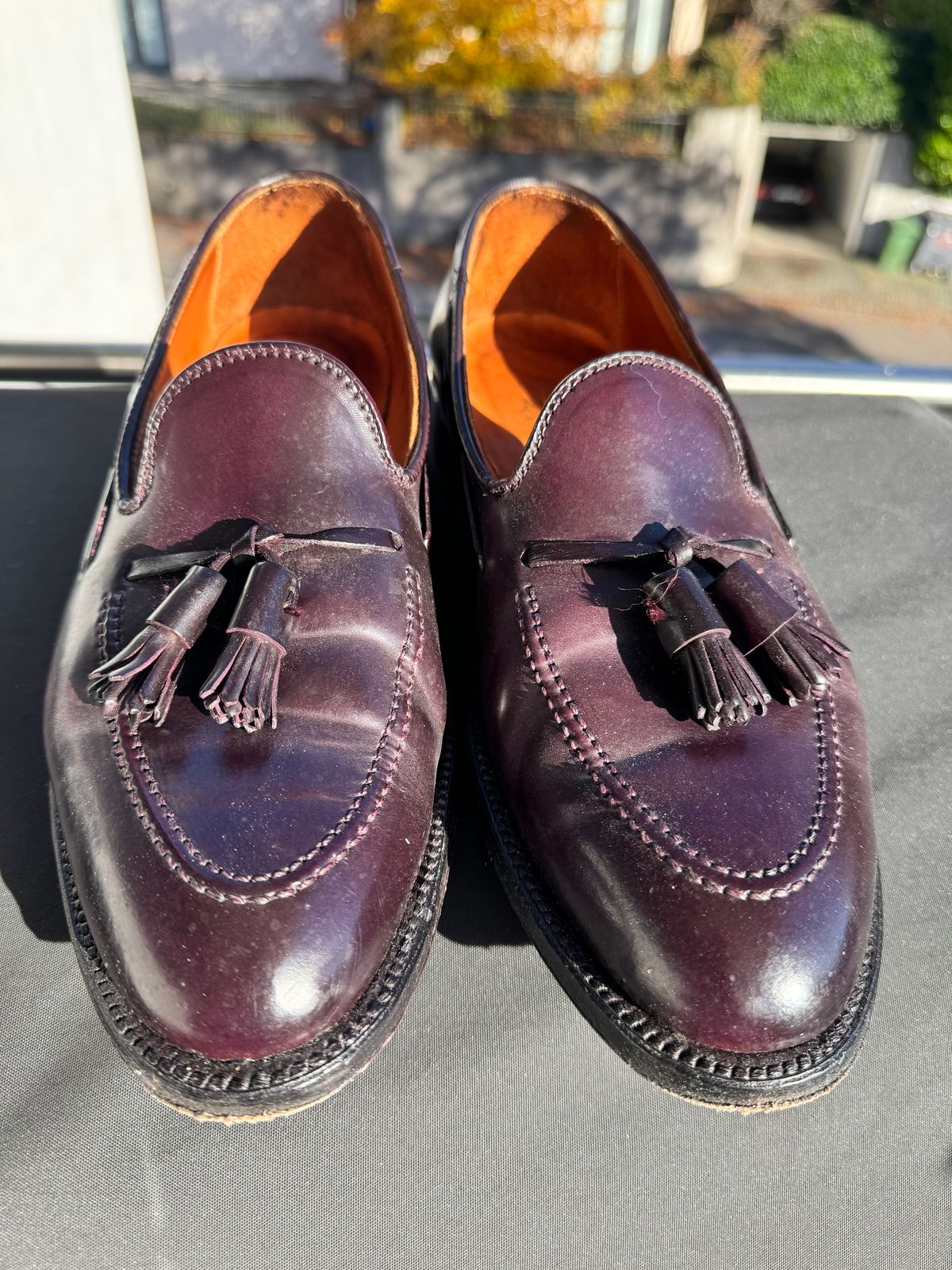 Photo by yankinschweiz on November 4, 2025 of the Alden 563 Tassel Moccasin Loafer in Horween Color 8 Shell Cordovan.