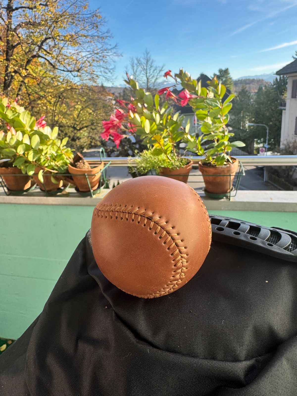 Photo by yankinschweiz on November 4, 2025 of the Ashland Leather Baseball in Horween Raw Natural Shell Cordova.