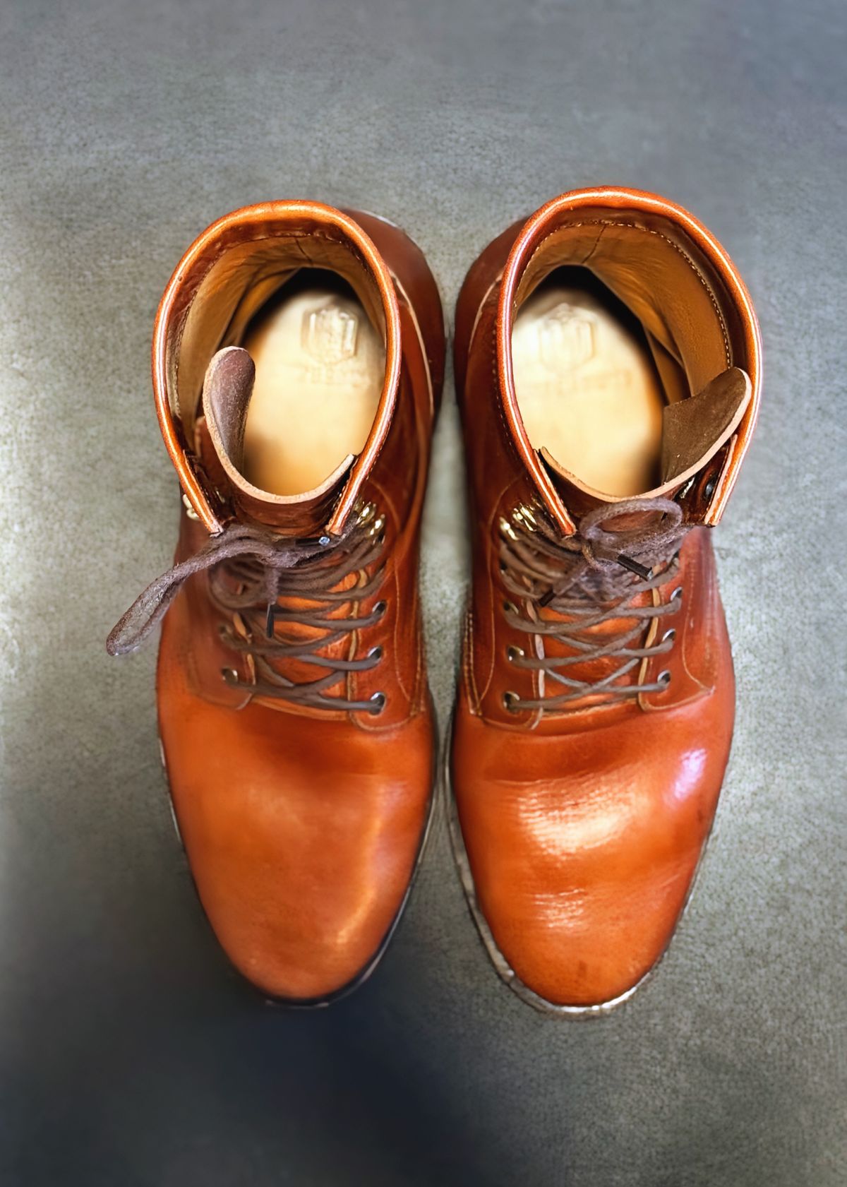 Photo by RealtorVic on December 5, 2025 of the Imperium Mighty in Maryam Bruciato TPR Horsebutt.