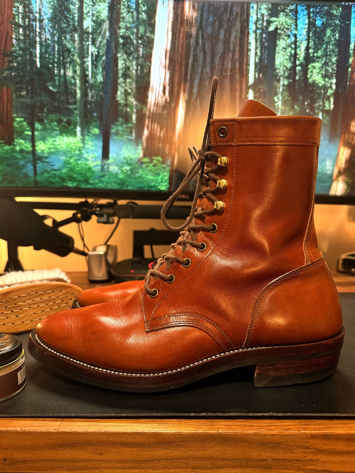 Photo by RealtorVic on December 16, 2025 of the Imperium Mighty in Maryam Bruciato TPR Horsebutt.