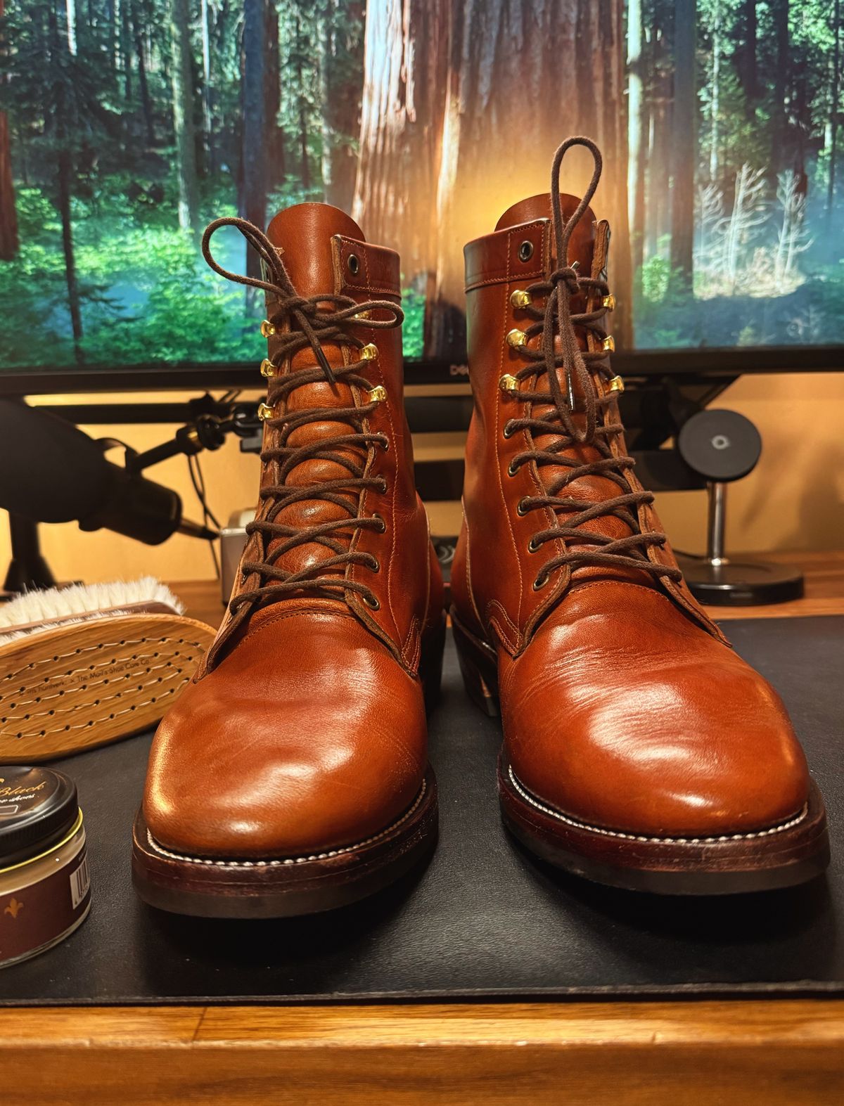 Photo by RealtorVic on December 16, 2025 of the Imperium Mighty in Maryam Bruciato TPR Horsebutt.