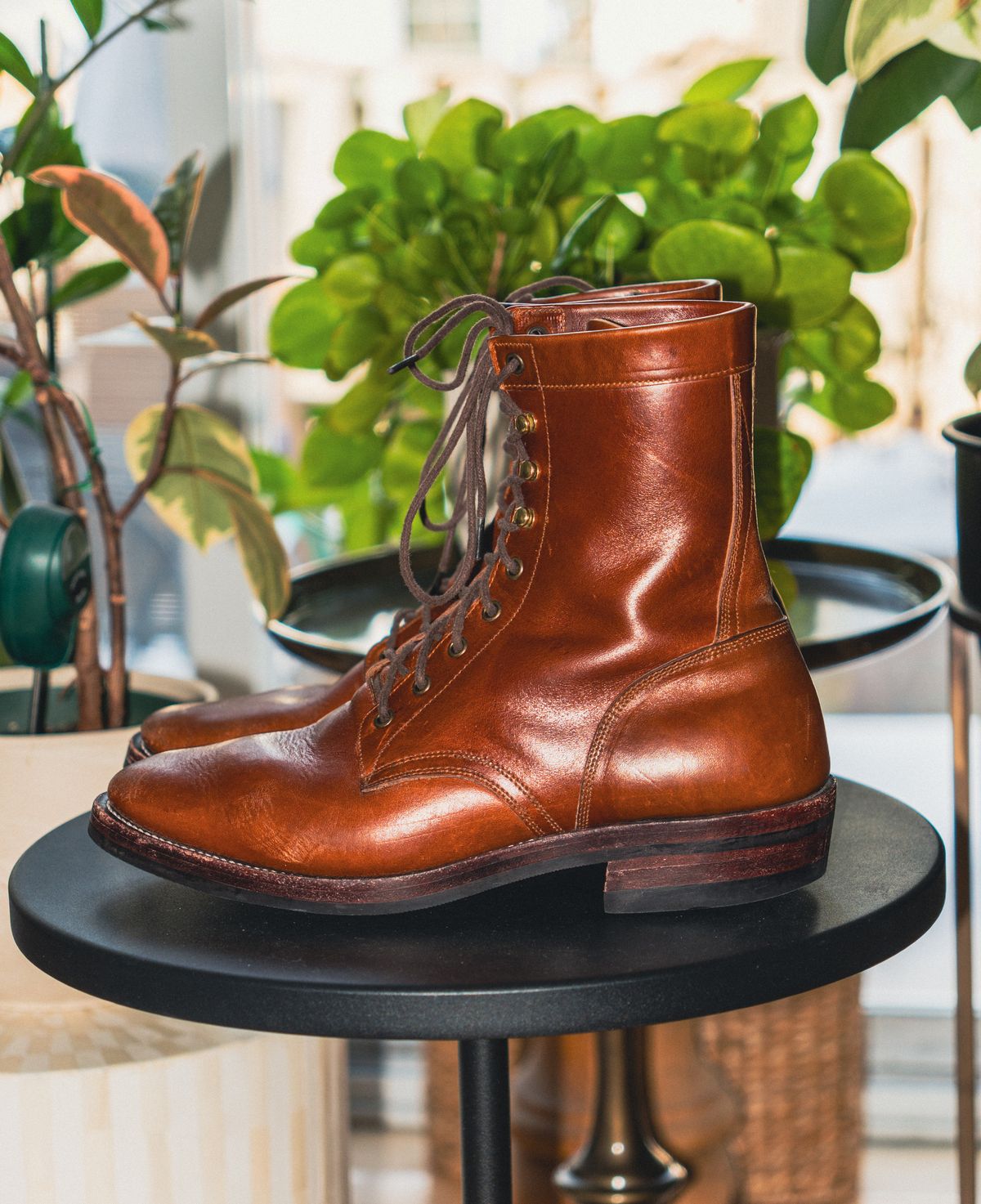 Photo by RealtorVic on February 1, 2026 of the Imperium Mighty in Maryam Bruciato TPR Horsebutt.