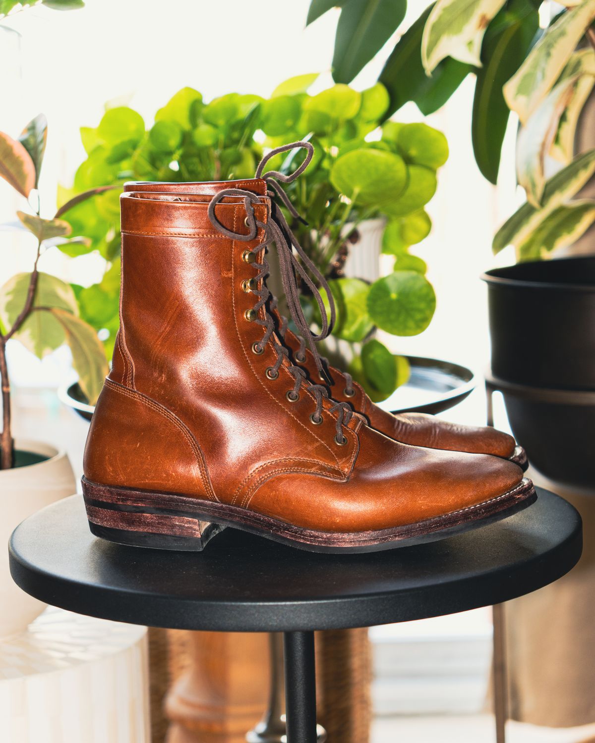 Photo by RealtorVic on February 1, 2026 of the Imperium Mighty in Maryam Bruciato TPR Horsebutt.