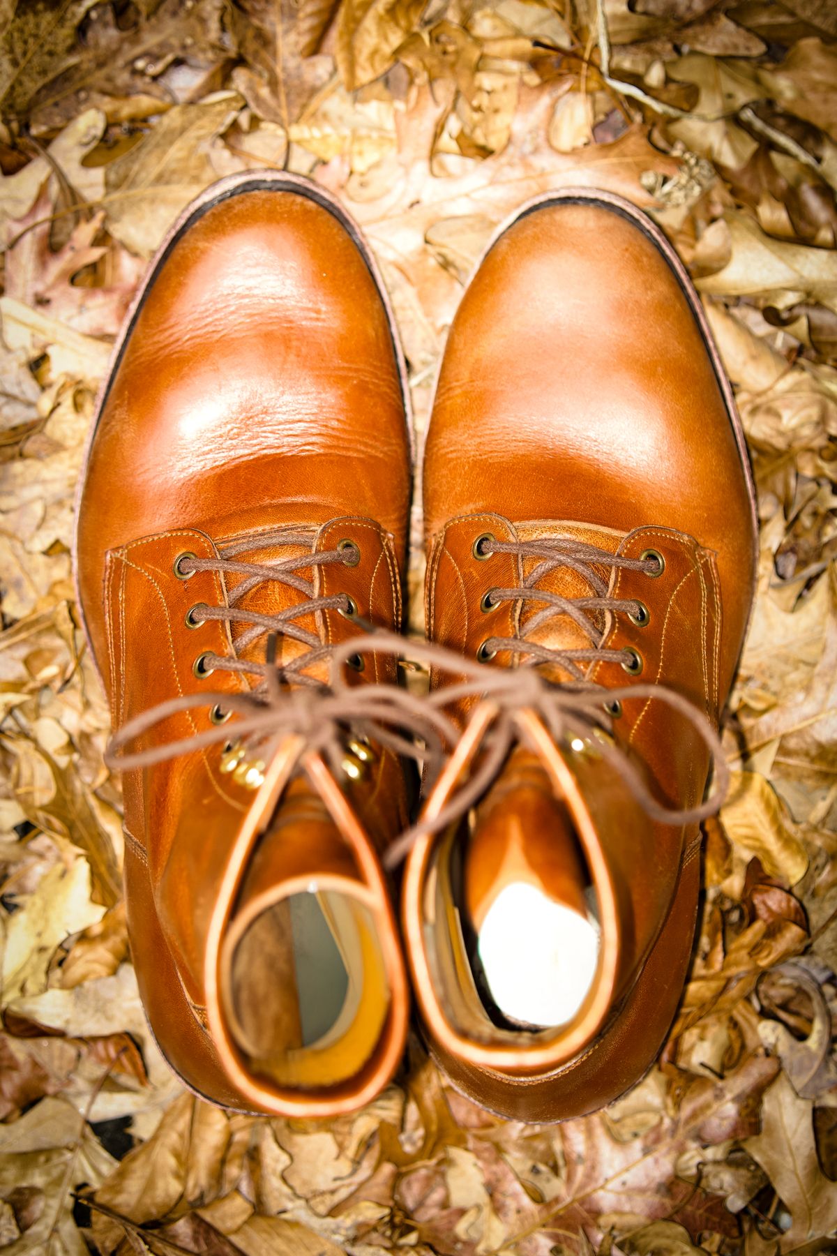 Photo by RealtorVic on March 2, 2026 of the Imperium Mighty in Maryam Bruciato TPR Horsebutt.