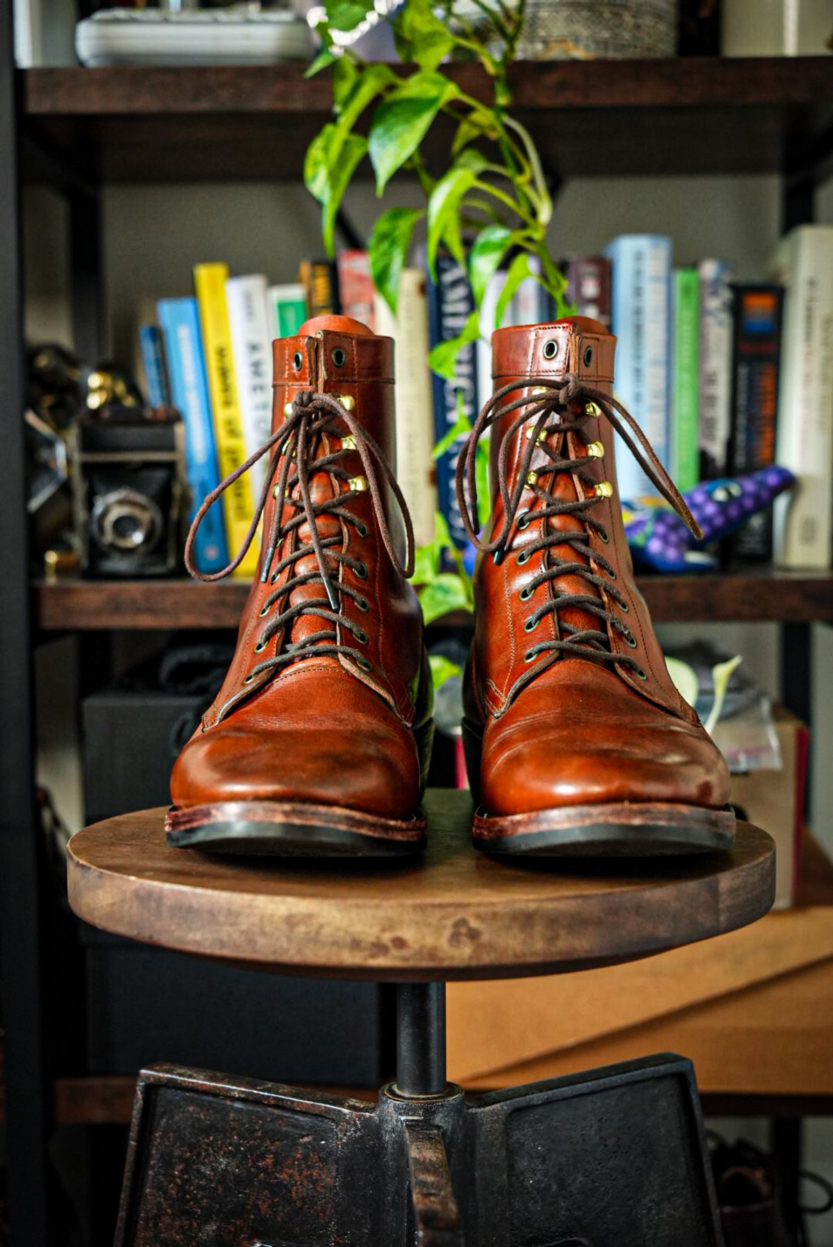 Photo by RealtorVic on April 5, 2026 of the Imperium Mighty in Maryam Bruciato TPR Horsebutt.