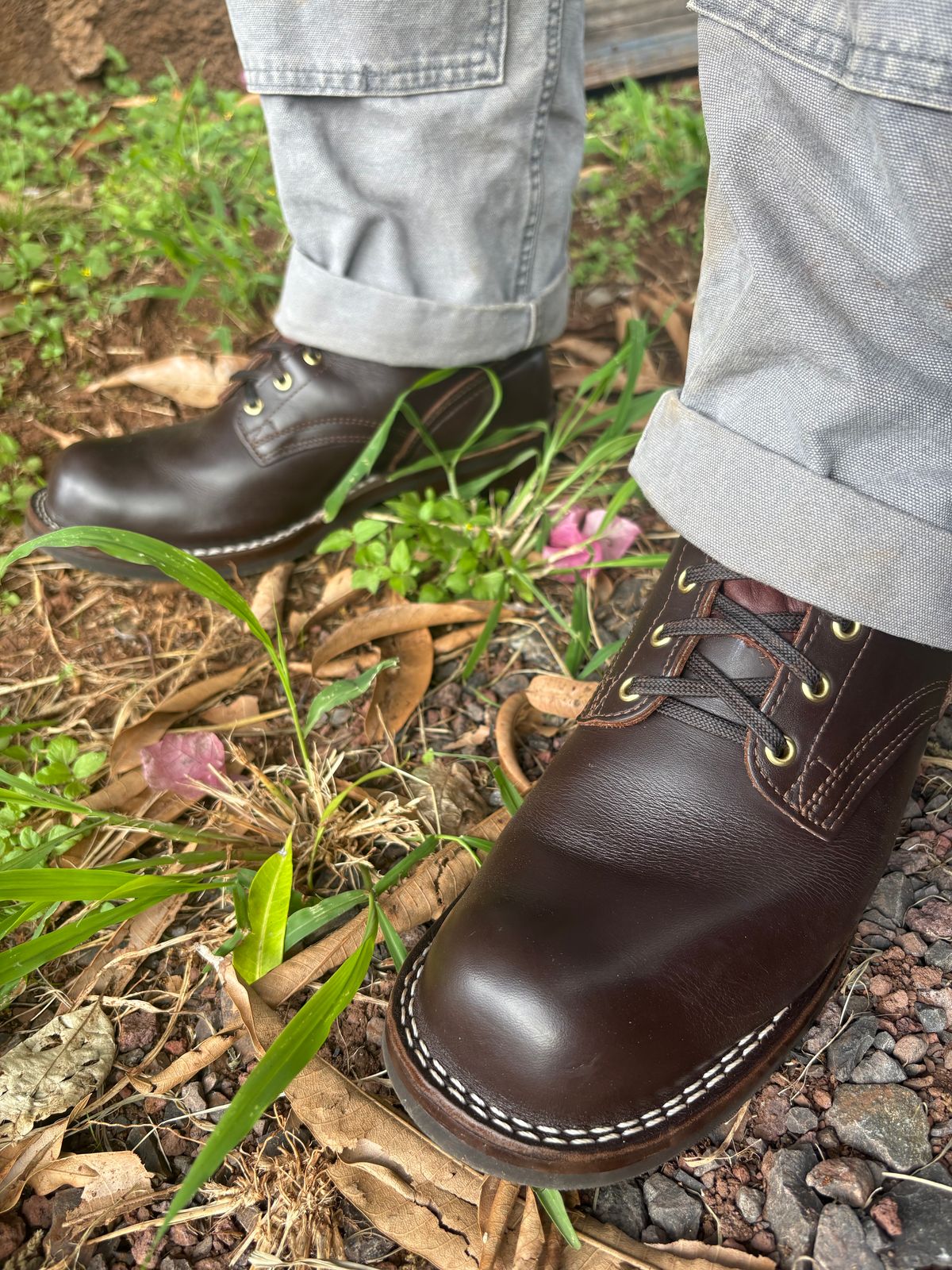 Photo by Apprehensivebootbuyer on January 10, 2026 of the Nicks MTO in Sample Sale Walnut Latigo.