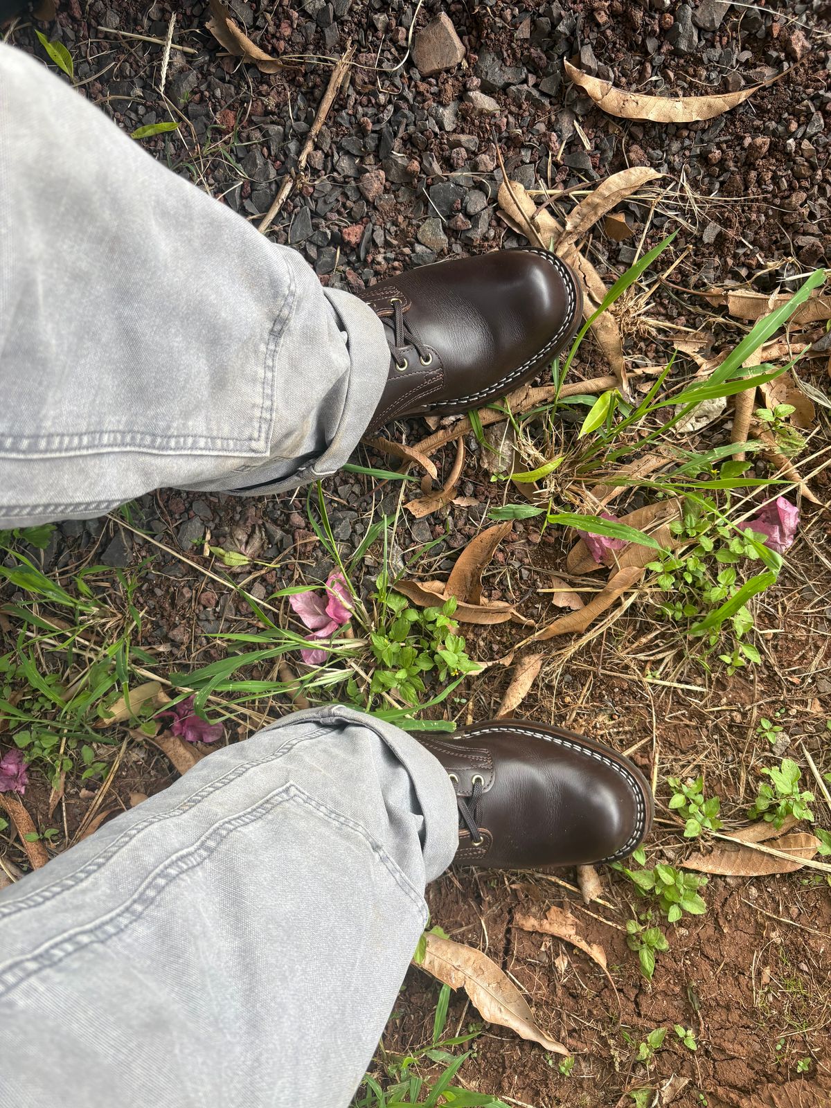 Photo by Apprehensivebootbuyer on January 10, 2026 of the Nicks MTO in Sample Sale Walnut Latigo.