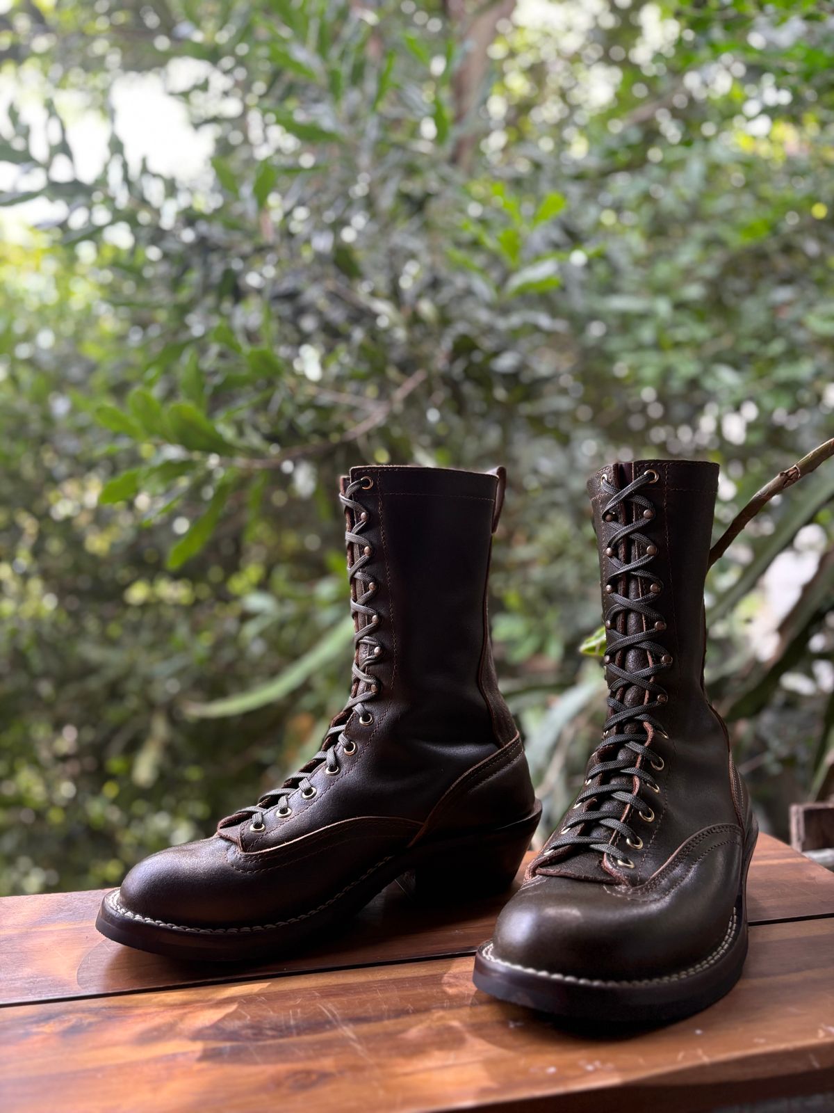 Photo by Apprehensivebootbuyer on February 28, 2026 of the Nicks Lace To Toe in Greener Pastures Waxed flesh.