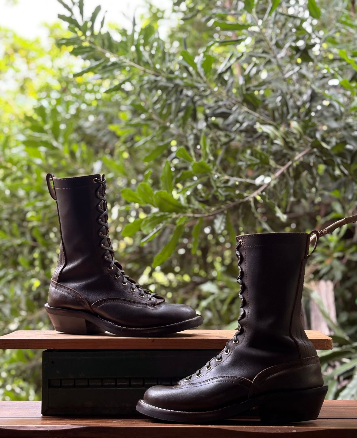 Photo by Apprehensivebootbuyer on February 28, 2026 of the Nicks Lace To Toe in Greener Pastures Waxed flesh.