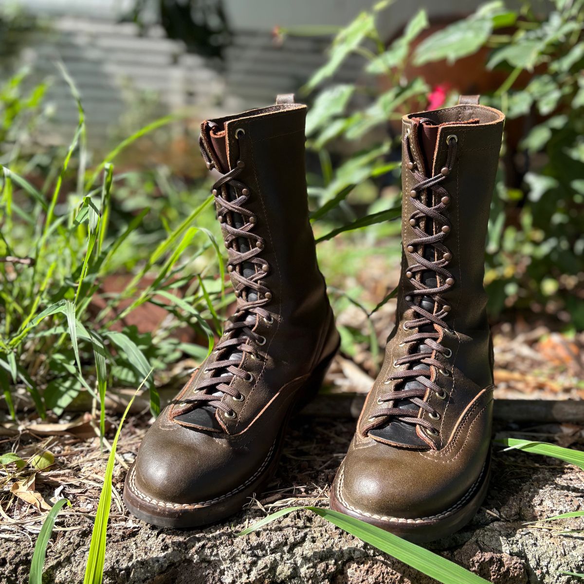 Photo by Apprehensivebootbuyer on April 25, 2026 of the Nicks Lace To Toe in Greener Pastures Waxed flesh.