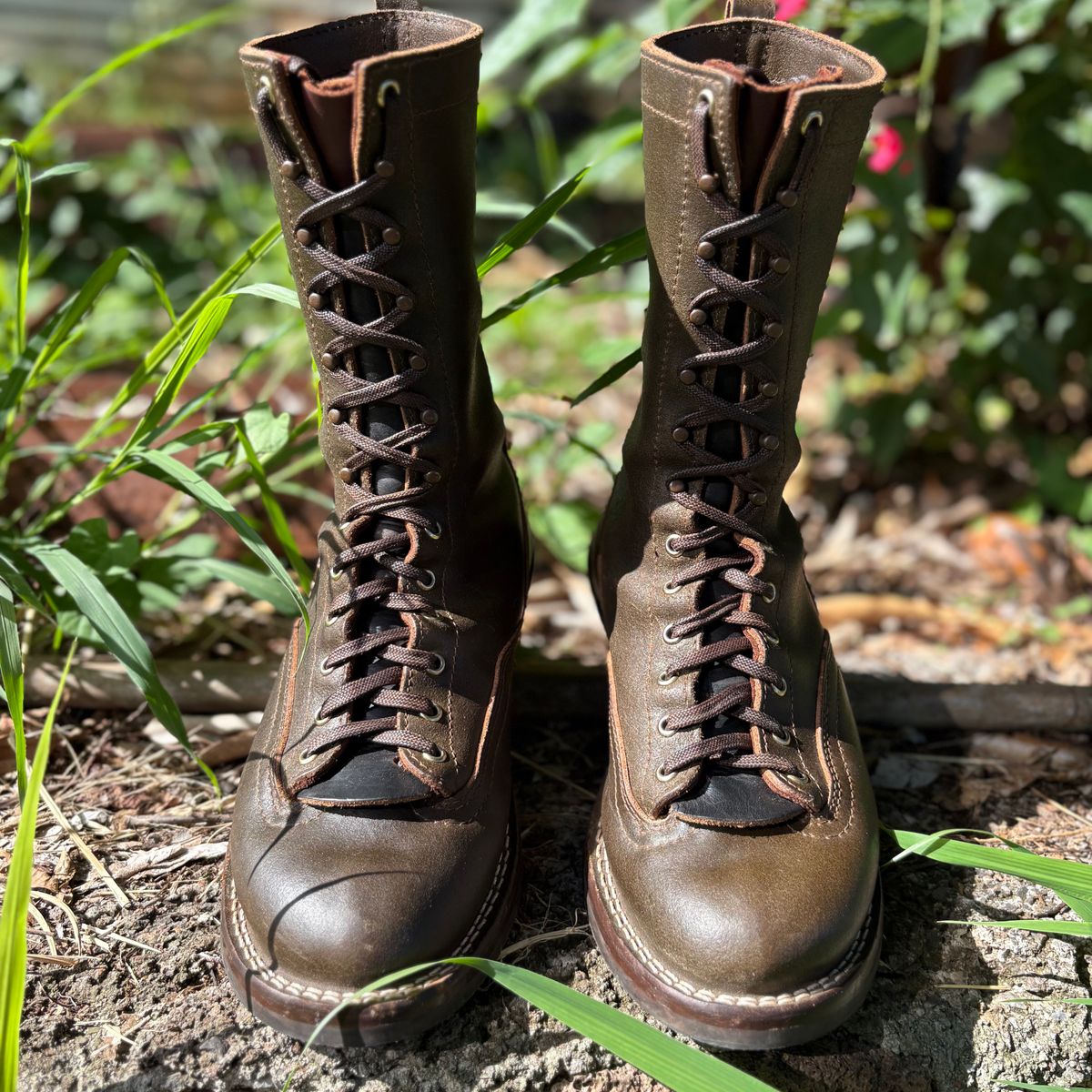 Photo by Apprehensivebootbuyer on April 25, 2026 of the Nicks Lace To Toe in Greener Pastures Waxed flesh.