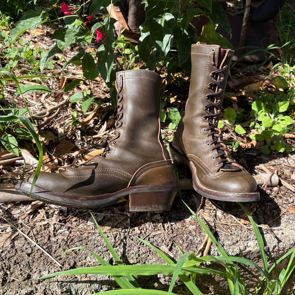 Photo by Apprehensivebootbuyer on April 25, 2026 of the Nicks Lace To Toe in Greener Pastures Waxed flesh.