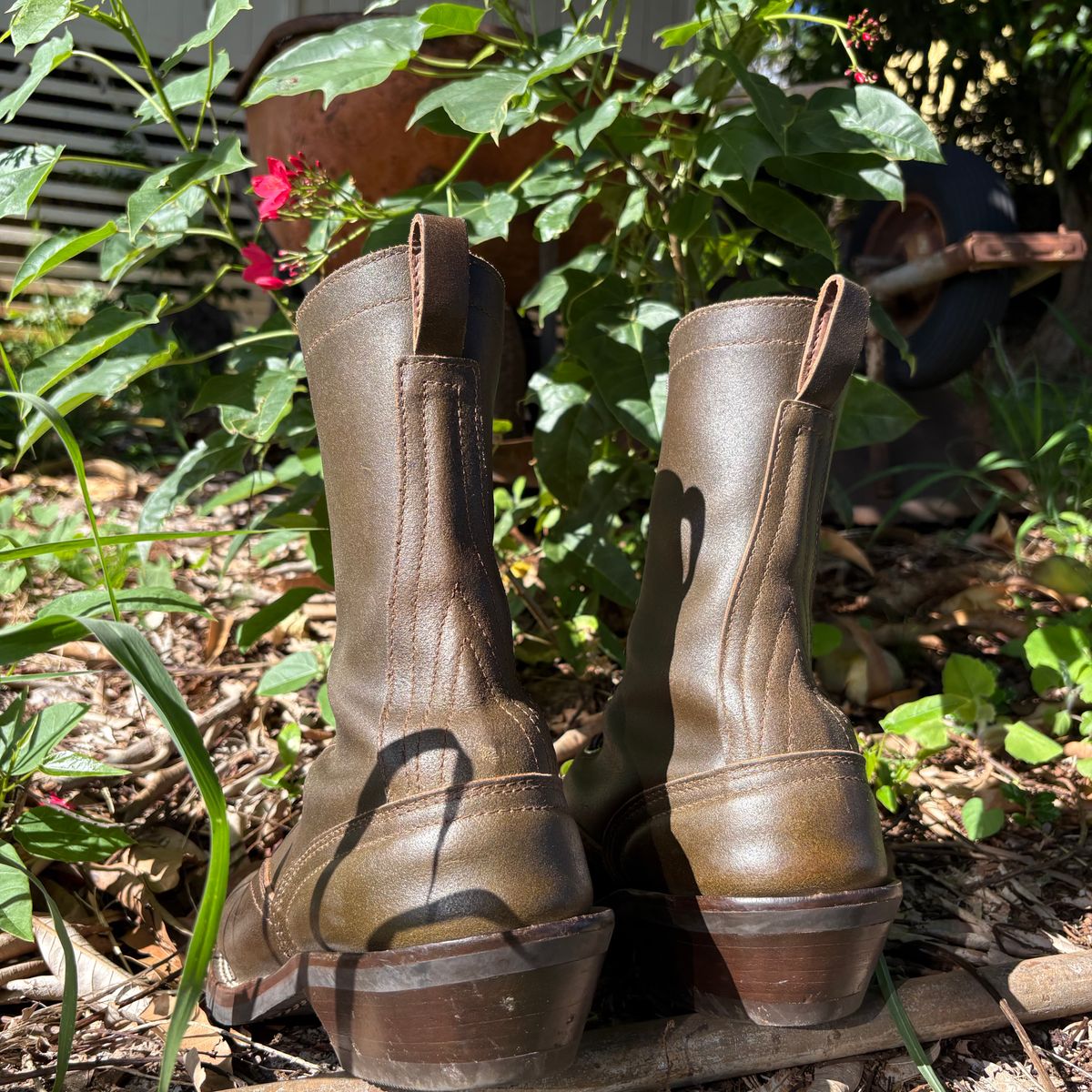 Photo by Apprehensivebootbuyer on April 25, 2026 of the Nicks Lace To Toe in Greener Pastures Waxed flesh.