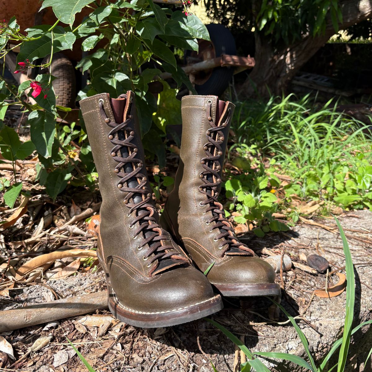 Photo by Apprehensivebootbuyer on April 25, 2026 of the Nicks Lace To Toe in Greener Pastures Waxed flesh.