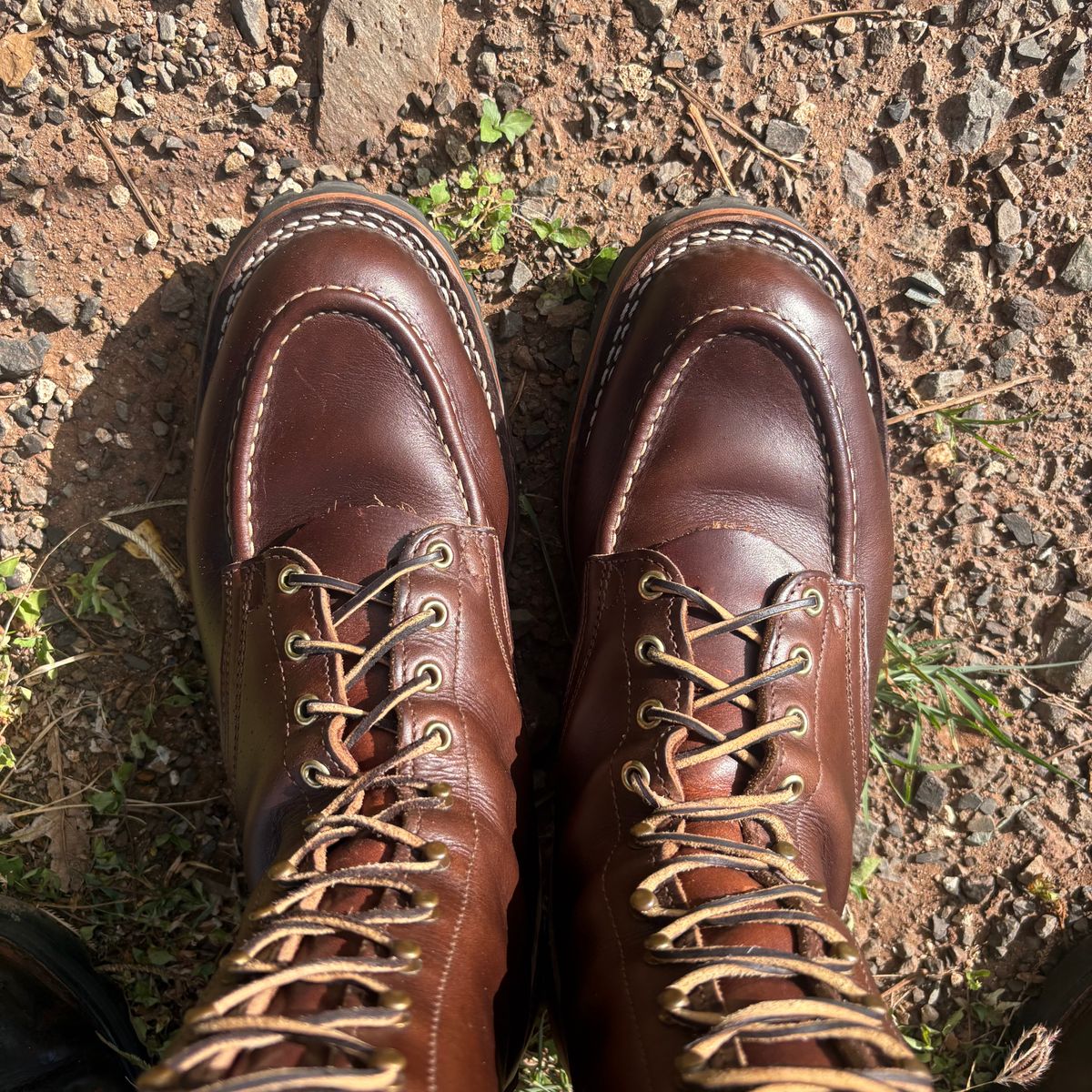 Photo by Apprehensivebootbuyer on April 27, 2026 of the Nicks Moc Toe in Horween Brown Chromexcel.
