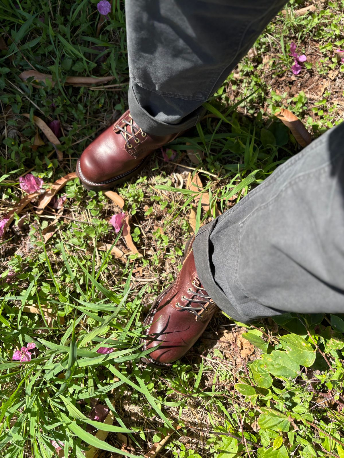 Photo by Apprehensivebootbuyer on January 18, 2026 of the Nicks BuilderProHD in 64 Brown Double Shot.